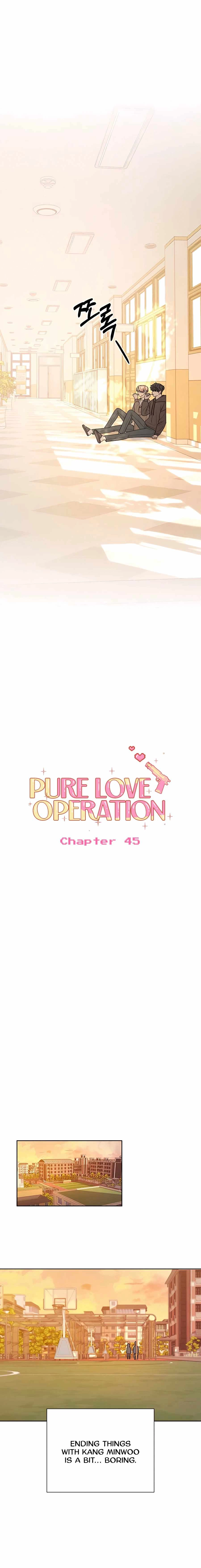 Pure Love Operation Chapter 45 12